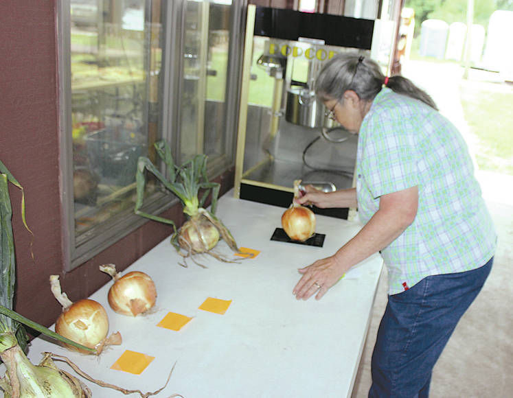 Having an onion party in Wolf Lake News, Sports, Jobs